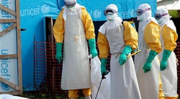 دراسة: أفضل نهج للسيطرة على الإيبولا يكون من مصدره