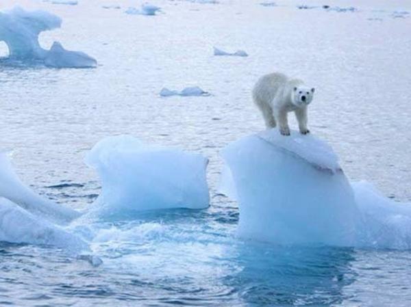 الخطر القادم للبشرية : تحديد موعد "الذوبان الكبير" للقطب الجليدي