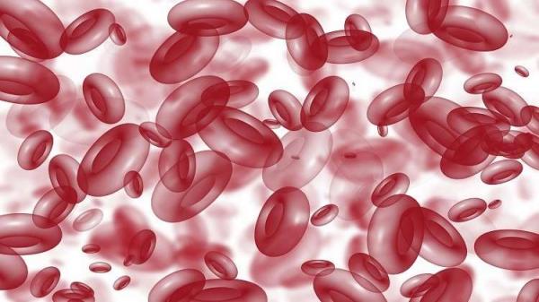 إنتاج صفائح دموية اصطناعية مميزة من خلايا بشرية!