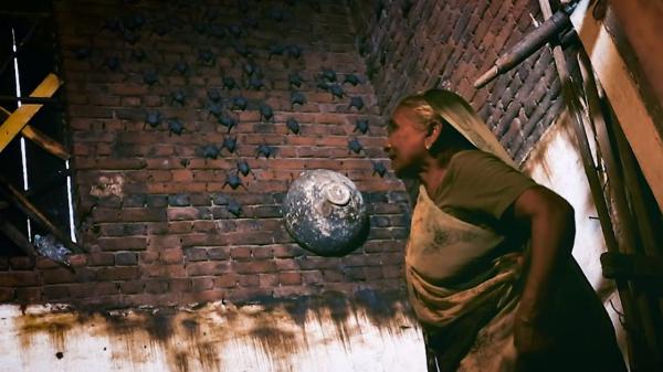 بالفيديو: هذه المرأة تعيش مع 1000 خفاش في منزلها