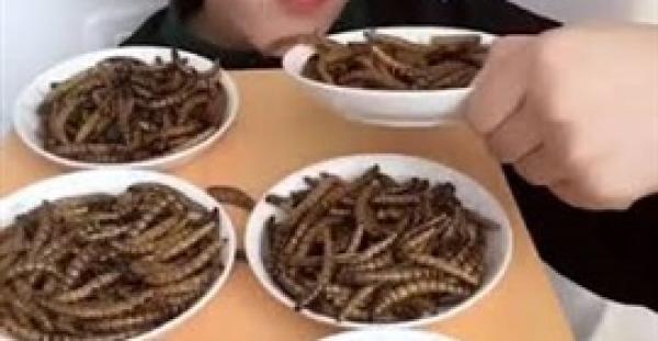 صينية تستمتع بتناول وجبة مقززة من الحشرات تشعل الإنترنت