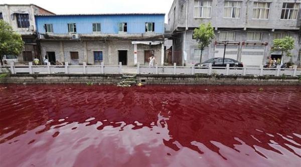 نهر يأخذ لونا من الدم  فجأة في الصين  يثير الرعب بين السكان