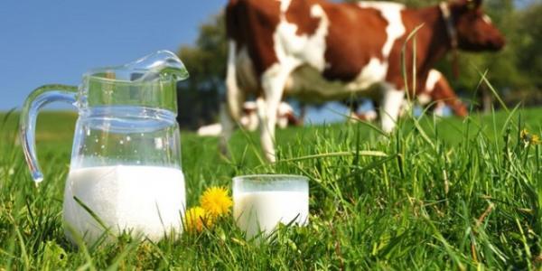 جدري لـ"أخبارنا": الرّفع من ثمن الحليب سيمسّ بالقدرة الشرائية للمواطنين.. والحكومة مُطالبة بالتدخل