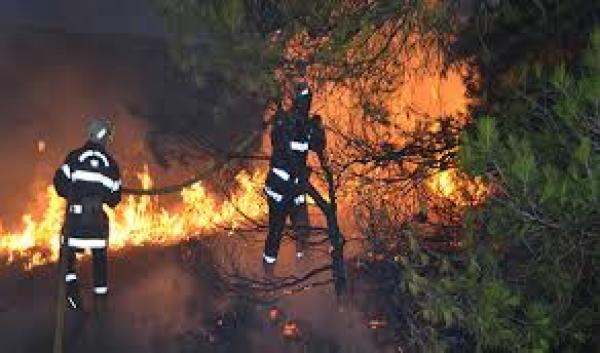 السيطرة بالكامل على الحريق المهول الذي التهم غابات “أوكايمدن” نواحي مراكش