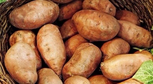 البطاطا الحلوة للشعور بالشبع لمدة أطول