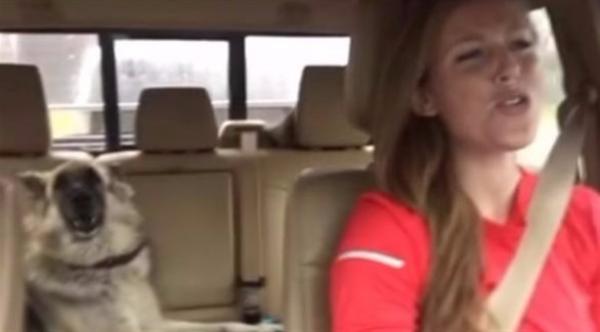 بالفيديو: كلبة تغني مع صاحبتها على وقع الموسيقى