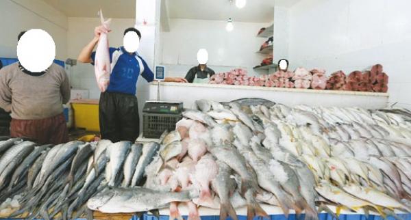 المقاطعة الشعبية:نشطاء يستهدفون الأسماك والمنتجات البحرية ويطلقون "خليه يعوم"
