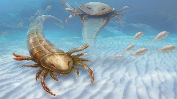 اكتشاف عقرب عملاق يعتبر أول الكائنات البحرية المفترسة على كوكب الأرض