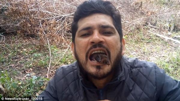 بالفيديو: برازيلي يضع خفافيش حيّة داخل فمه