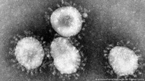 علماء يطلقون اسماً "مملاً" على فيروس "ممل"