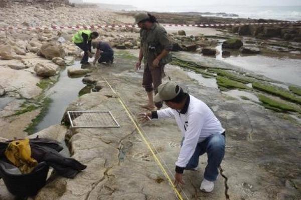 هذا ما قامت به وزارة الثقافة بخصوص موقع آثار أقدام ديناصورات يوجد بشاطئ أنزا بأكادير
