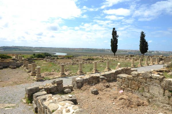 وزارة "الأعرج" تعلن عن تاريخ افتتاح موقع "ليكسوس" الأثري وإطلاق المشروع المرافق له