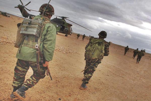 هل ستتخذ الحكومة قرار إعادة فرض الخدمة العسكرية الإجبارية على الشباب المغربي؟