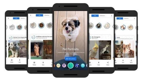 غوغل تصدر ميزة تتيح للمستخدمين البحث عن الصور الشبيهة بحيواناتهم الأليفة في الأعمال الفنية الشهيرة