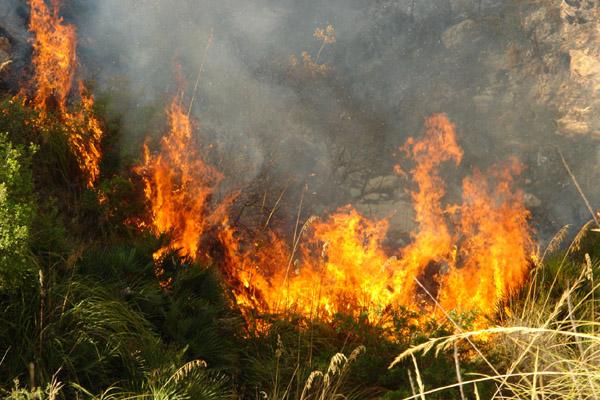 خريبكة : النيران تلتهم خمسة هكتارات من الغطاء النباتي