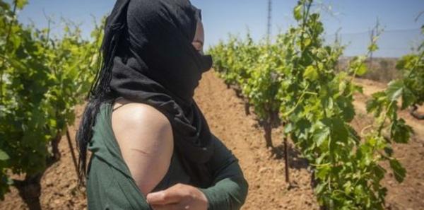 هذا هو رد الحكومة على الاعتداءات الجنسية التي تطال المغربيات العاملات في الحقول الاسبانية