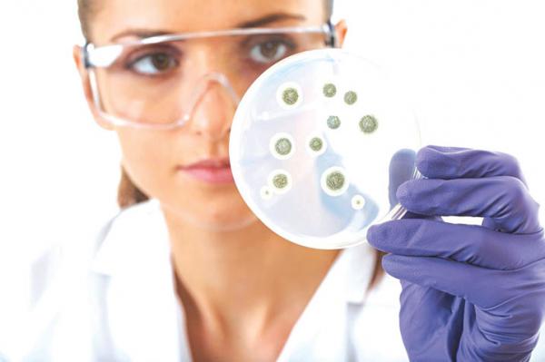 علماء يتمكنون من تخليق بكتيريا لا يمكنها البقاء بدون الإنسان