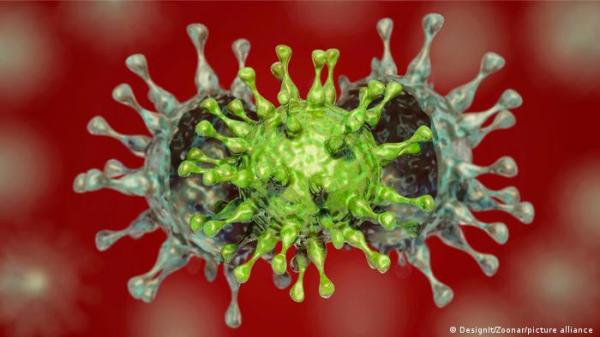 مسؤول بمنظمة الصحة العالمية: القضاء على فيروس كورونا عالمياً ليس هدفاً منطقياً حالياً