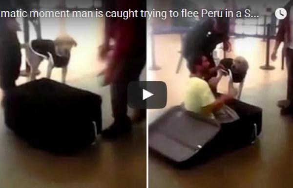 بالفيديو: رجل يحاول الهروب داخل حقيبة سفر