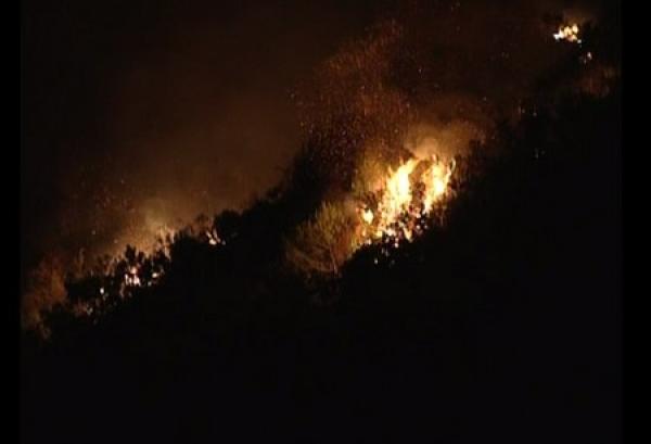 شفشاون:  حريق يأتي على حوالي 150 هكتارا من الغطاء الغابوي بجماعة بني سلمان