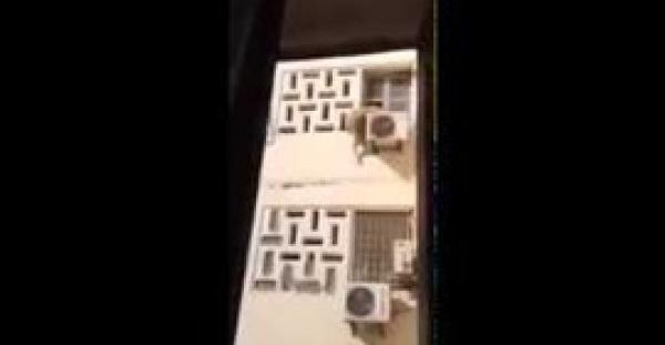 بالفيديو.. لحظة سقوط خروف العيد من الطابق الثالث