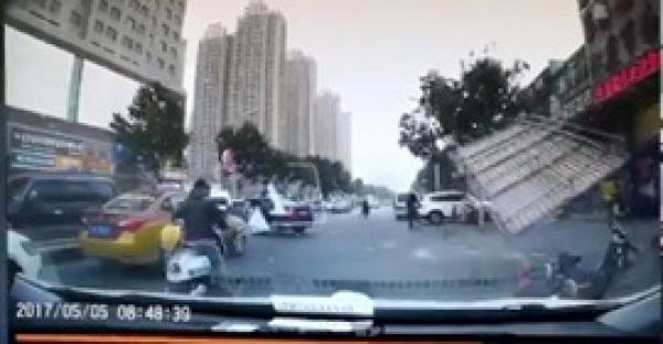بالفيديو.. عاصفة تقتلع الأشجار وتطيح بسائق على الطريق في بكين