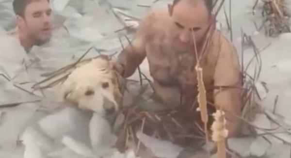 لحظة إنقاذ كلب من بحيرة متجمدة في إسبانيا بواسطة رجلي شرطة(فيديو)