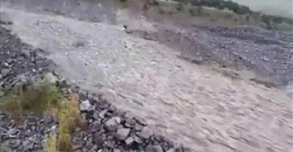 نهر من الحجارة يتدفق في نيوزيلندا (فيديو)