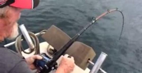 مرة أخرى ..بالفيديو.. سمكة قرش تسرق رجلا خلال رحلة صيد
