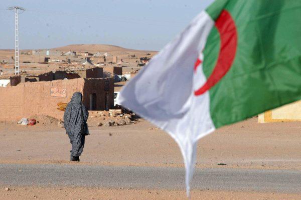 الجزائر تواصل معاداتها للمغرب وتقرر إخضاع مرتزقة البوليساريو للتدريب بمؤسساتها العسكرية