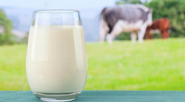 دراسة: شرب الحليب لا يطيل العمر!