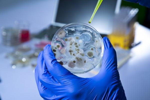 «الأمراض المعدية»: نتائج واعدة للقاح جديد ضد «الإيبولا»