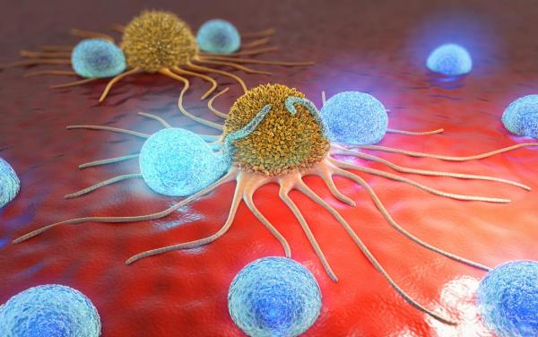 يذيب الاورام : علماء يطورون فيروسا لقتل الخلايا السرطانية