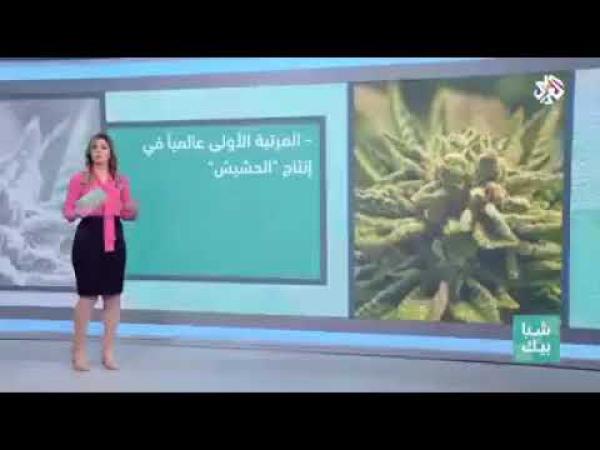 مصيبة هادي..المغرب يحتل الرتبة الأولى عالميا في إنتاج "الحشيش" حسب قناة عربية(فيديو)