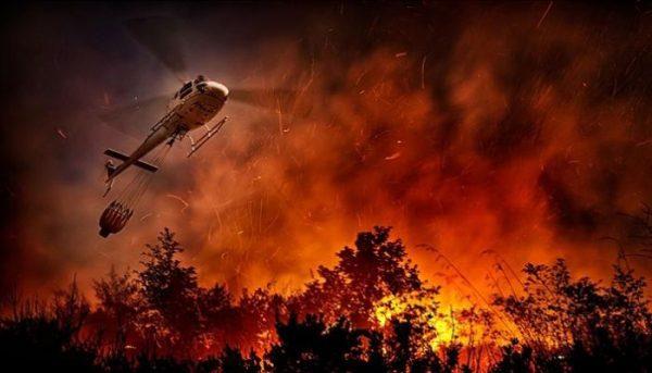 قتيلان في حرائق الغابات بصقلية وإجلاء 700 سائح