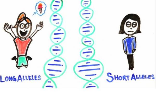 بالفيديو: كيف تؤثر الجينات على تفاؤل الإنسان؟
