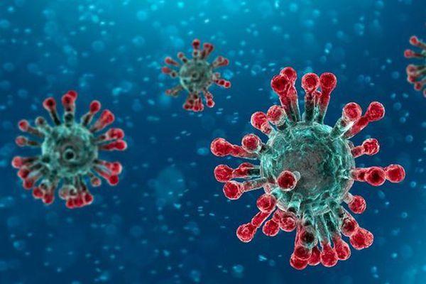 العلماء يتمكنون من اكتشاف بعض نقاط الضعف المشتركة بين فيروسات كورونا الثلاثة القاتلة