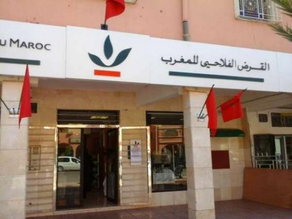 مجموعة القرض الفلاحي تنفي وجود مفاوضات بشأن المشاركة في مصرف المغرب