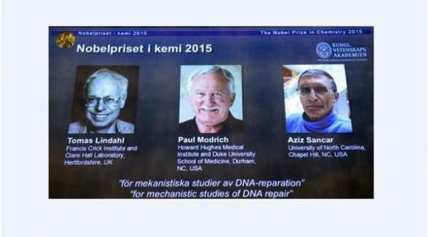 سويدي وأمريكي وتركي يفوزون بجائزة نوبل في الكيمياء