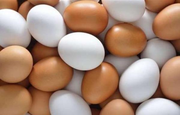 أيهما أفضل ..البيض ذي القشرة البيضاء أم البنية؟