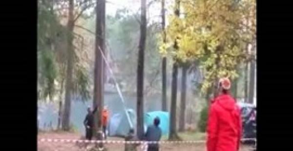 بالفيديو.. لحظة سقوط شجرة عملاقة على رجل