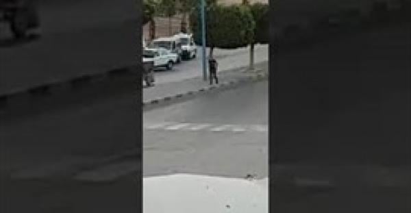بالفيديو.. لص يسرق سائقا من داخل سيارته بطريقة "اخطف واجري"