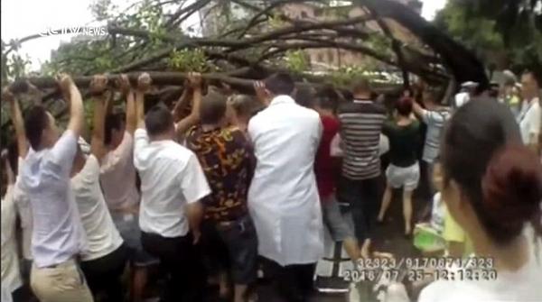 بالفيديو: انتشال صيني من تحت شجرة ضخمة