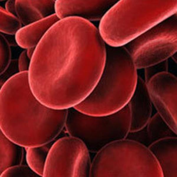 سرطان الدم - المرض القابل للشفاء