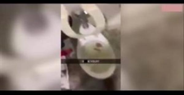 بالفيديو.. رجل ينتقم من صديقته الخائنة برمي حيوانها في «الحمام»