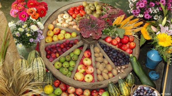 دراسة: تناول الخضروات والفاكهة قد يحد من الانسداد الرئوي