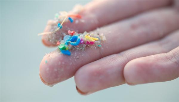 دراسة تكشف عن مستويات عالية من المواد البلاستيكية الدقيقة في الخصية البشرية