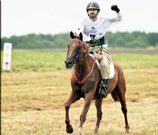المال السايب...حاكم دبي يشتري حصانا في مزاد علني أقيم بفرنسا بأكثر من مليوني يورو
