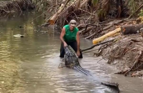 بالفيديو...مذيع أسترالى يدفع تمساحا بالضغط على فكه لإبعاده