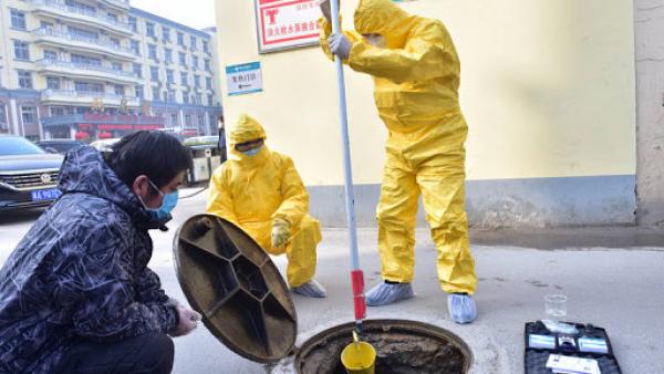 العثُور على آثار فيروس "كورونا" بمياه الصرف الصحي  في جميع أنحاء فلاندرن ببلجيكا